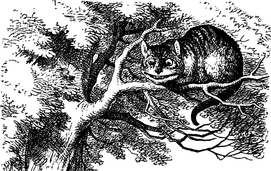 Foto 2 cerigradska macka na ilustraciji johna tenniela