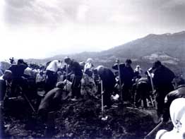 Sreb tema 01