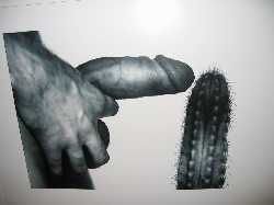 241%2007 3